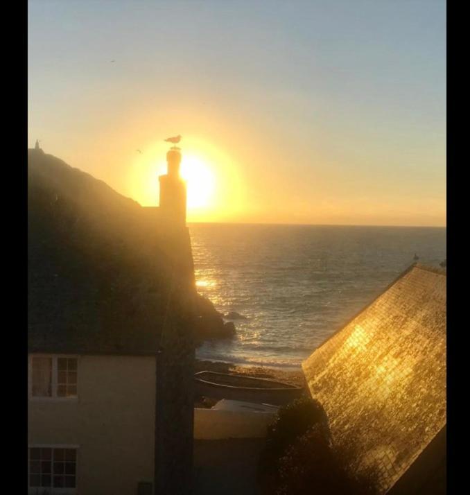 Cadgwith Cove Inn Экстерьер фото